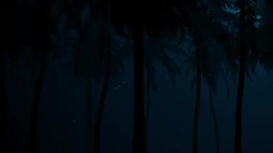 黎明椰子树林剪影背景视频带通道视频的预览图